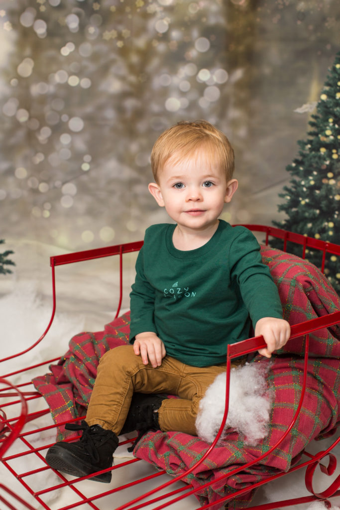 2023 Holiday Christmas Mini Photo Shoot Oneofakind Photography Virginia Beach Photo Studio